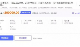 短视频账号交易网,揭秘热门账号交易背后的秘密